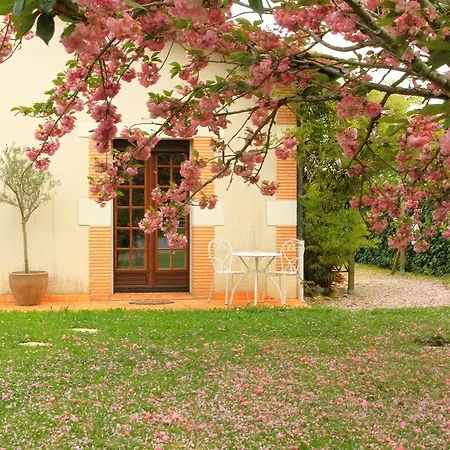 Des Cerisiers Sur Lot Le Temple-sur-Lot