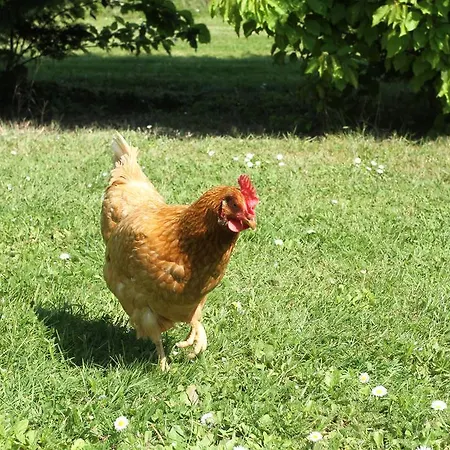 بيت ضيافة Des Cerisiers Sur Lot 3*