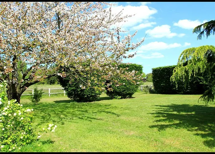 Casa de hóspedes Des Cerisiers Sur Lot