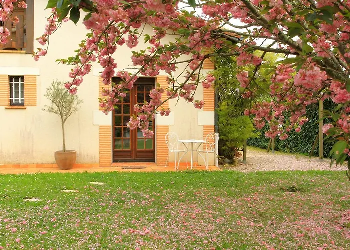 Des Cerisiers Sur Lot Le Temple-sur-Lot