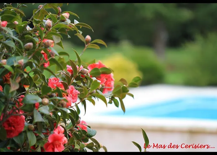 Casa de hóspedes Des Cerisiers Sur Lot